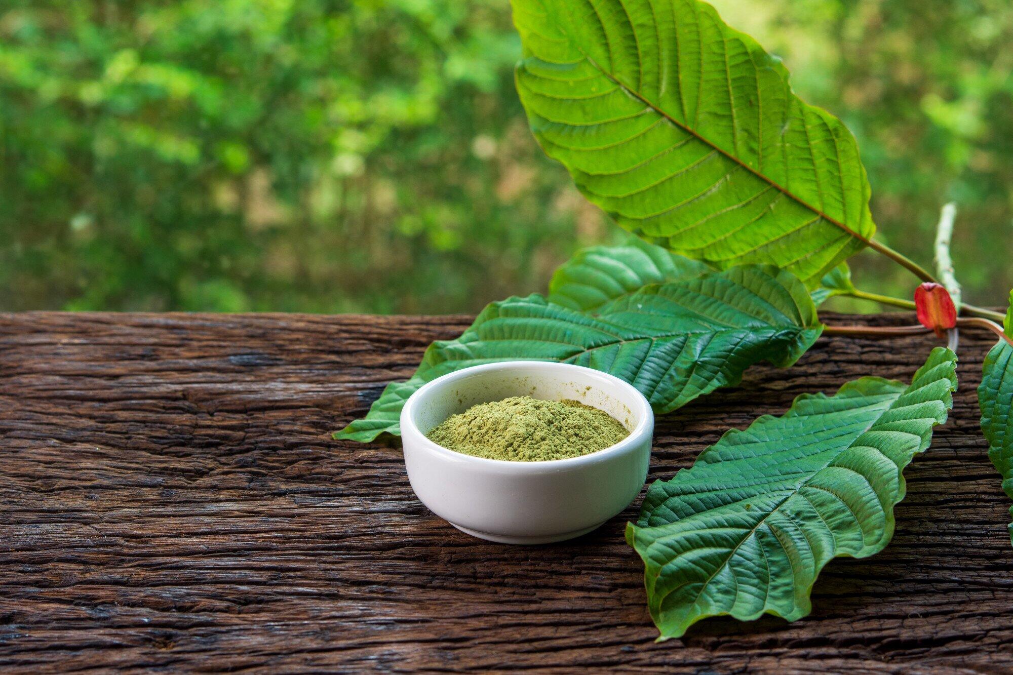 Green Borneo Kratom: A Comprehensive Guide to Strain Characteristics ...