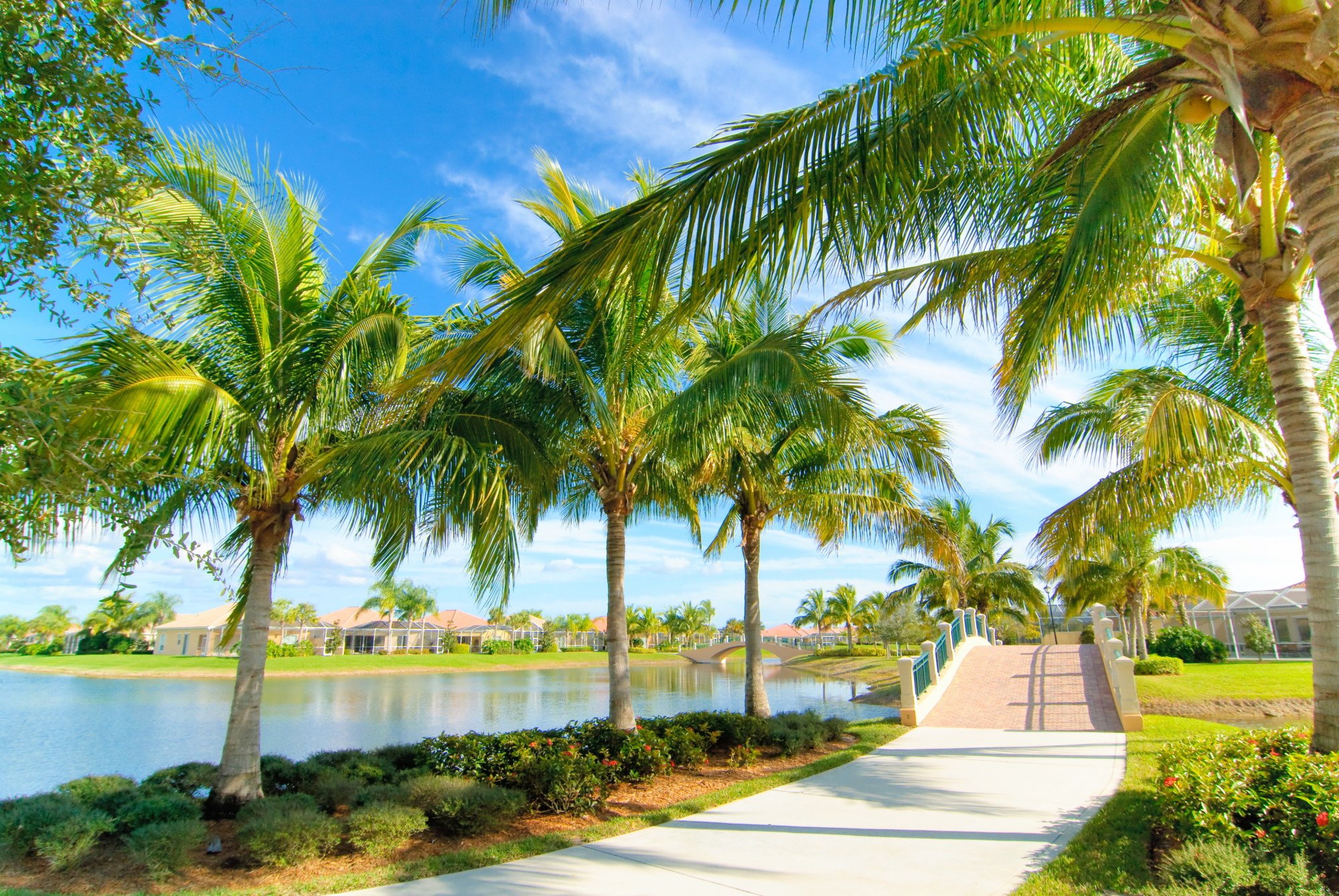 10 Pivotal Advantages of Hiring an MSP in South Florida